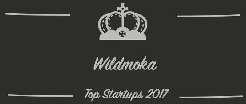 Wildmoka : une startup à suivre en 2017 (Interview)