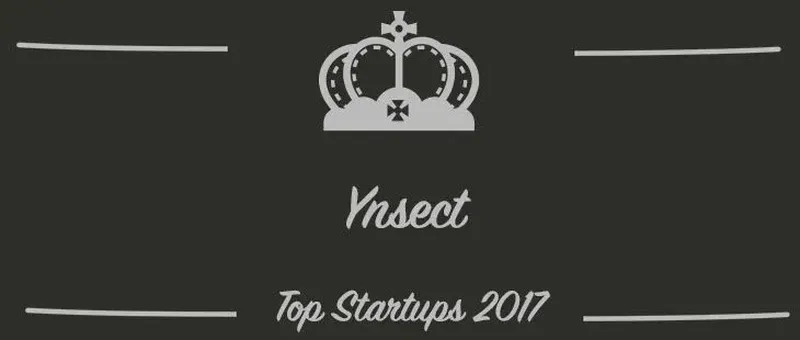 Ynsect : une startup à suivre en 2017 (Interview)