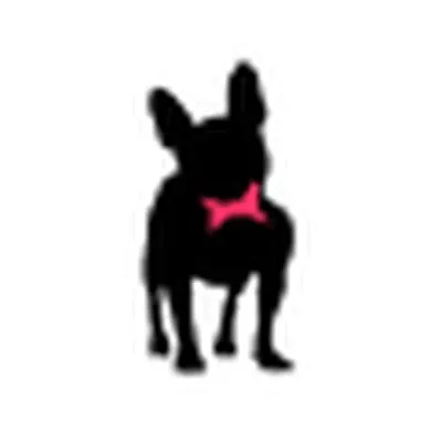 Baltazare est une startup Agence Web à Senlis: Découvrez ses levées de fonds