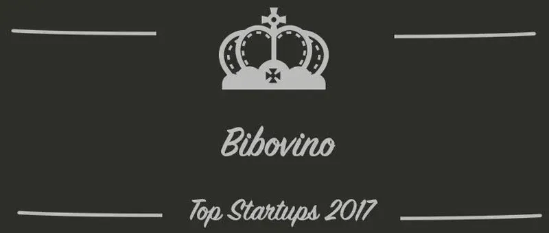 Bibovino : une startup à suivre en 2017 (Présentation)