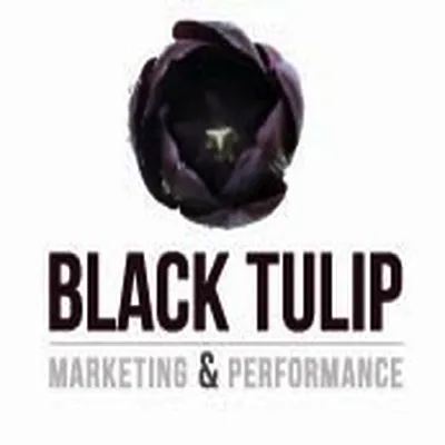 Black Tulip est une startup Services aux entreprises - B2B à Paris: Découvrez ses levées de fonds