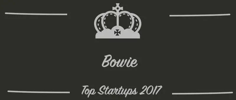 Bowie : une startup à suivre en 2017 (Interview)