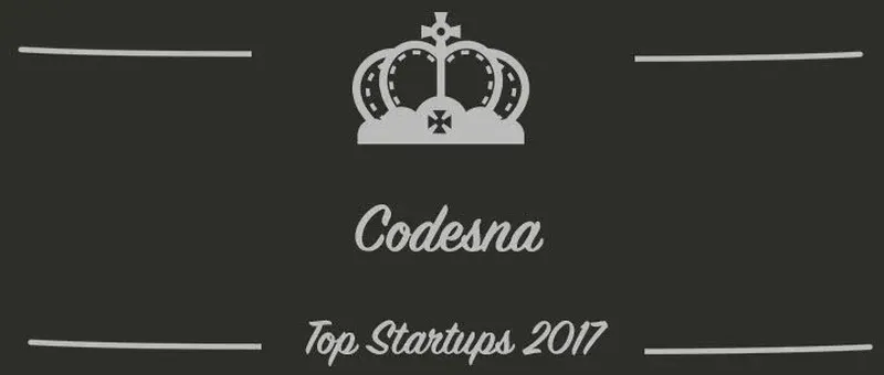 Codesna : une startup à suivre en 2017 (Interview)