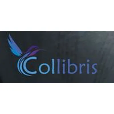 Collibris est une startup Applications mobiles à Grenoble: Découvrez ses levées de fonds