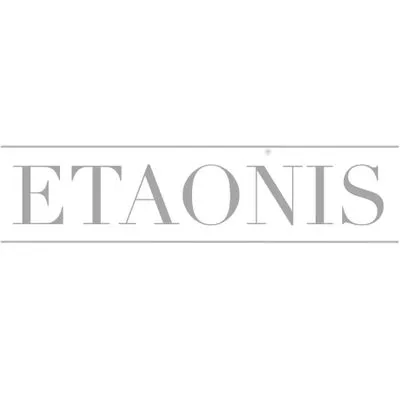 Etaonis est une startup Big Data à Levallois Perret: Découvrez ses levées de fonds