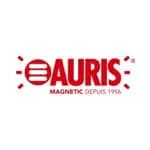 logo interview Auris