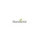 logo interview Mandarine Bs