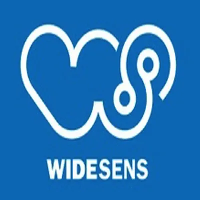Widesens est une startup Transports à Toulouse: Découvrez ses levées de fonds